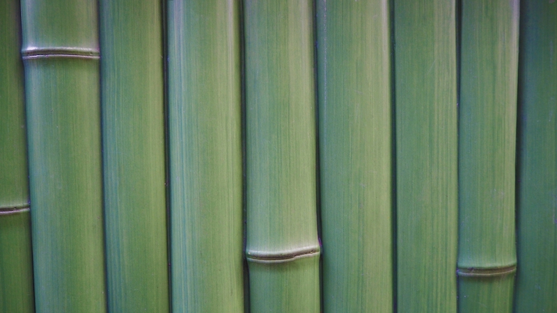 竹素材のデメリット