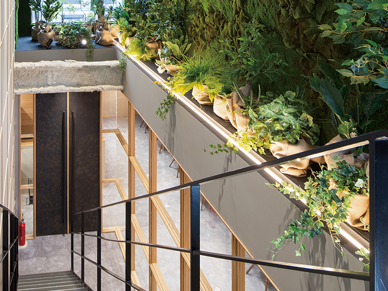 自然光を活かした店舗デザインのメリット